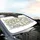 Cartoon Cats Mushrooms Foliage Field - Cat Lover Road Trip Car Interior Upgrade Car Sunshade - 6