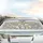 Cartoon Cats Mushrooms Foliage Field - Cat Lover Road Trip Car Interior Upgrade Car Sunshade - 5
