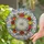 Tulip Forget-Me-Nots Pansies Floral Wreath - Home Decor Gift for Flower Lover Stained Glass Suncatcher - 2