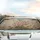 Wildflowers Blooms Foliage Leaves Vines - Car Interior Upgrade Car Sunshade - 5