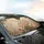 Wildflowers Blooms Foliage Leaves Vines - Car Interior Upgrade Car Sunshade - 6