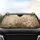 Wildflowers Blooms Foliage Leaves Vines - Car Interior Upgrade Car Sunshade - 4