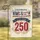 America 250th Emblem 1776-2026 – Independence Day Celebration Decor Garden Flag - 1