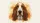 Melancholy Basset Hound Dog Face - Car Interior Upgrade for Dog Lover Car Sunshade - 7
