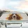 Melancholy Basset Hound Dog Face - Car Interior Upgrade for Dog Lover Car Sunshade - 5