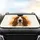 Melancholy Basset Hound Dog Face - Car Interior Upgrade for Dog Lover Car Sunshade - 4