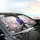 Majestic Purple Blue Macaw Parrot Pink Peonies Floral - Car Interior Upgrade Wildlife Lover Gift Car Sunshade - 6