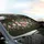 Dense Floral Bloom Green Leaves Berry Clusters - Car Interior Upgrade Car Sunshade - 6