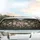 Dense Floral Bloom Green Leaves Berry Clusters - Car Interior Upgrade Car Sunshade - 5