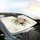 Dense Vibrant Blush Pink Wildflower Botanical Blooms & Foliage - Car Interior Upgrade Car Sunshade - 6