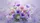 duiyfppz/products/6a01a0bec460c9ab87c77b31/gallery/7_NZx9Vkme