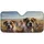 duiyfppz/products/6a01afca5312a22ba3ca3ed7/gallery/6J_QjJnzmb