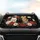 duiyfppz/products/6a01b01b5312a231aeca3f43/gallery/Twzb5qU1vW