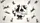 duiyfppz/products/6a01b131870c411a251b0137/gallery/45TCjWj0jL