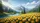 duiyfppz/products/6a01b82d4ae5ce4ecfe13b67/gallery/8bgSR9gFxH