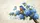 duiyfppz/products/6a01bc494ae5ce71d9e147af/gallery/hTn6bvtnPE