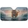duiyfppz/products/6a01bc80e407269c4badabb8/gallery/eH9G8wEkhd