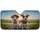 duiyfppz/products/6a01c1515312a24724ca5d55/gallery/31ycLwt5kJ
