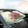 Delicate Pink Oleander Flowers Green Branches Butterflies Car Interior Upgrade Car Sunshade - 6