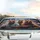 Grizzly Bears Driving Black Sunglasses Urban Cityscape Road Trip Gift Car Sunshade - 5