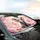 Baby Elephant Pink Bow Roses Peonies Car Interior Upgrade - Gift for Elephant Lovers Car Sunshade - 6