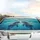 Playful Bottlenose Dolphins Sparkling Ocean - Commute Accessory Car Sunshade - 5