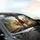 Seven Diverse Dogs Sunglasses Bandanas Mountain Road - Road Trip Gift for Dog Lovers Car Sunshade - 6