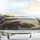 Majestic Hippopotamus Water Lily River Landscape - Wildlife Lover Car Interior Upgrade Car Sunshade - 5