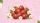 Strawberries Daisy Flowers Pink Swirls Auto Interior Upgrade Car Sunshade - 7