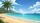 Tropical Beach Palm Tree Golden Sand Ocean - Road Trip Travel Car Sunshade - 7