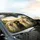 Six Happy Labrador Retrievers - Road Trip Gift for Labrador Lover Car Sunshade - 6