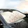 Delicate Wildflower Grasses Full Bloom - Car Interior Upgrade Road Trip Accessory Car Sunshade - 6