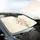 Lush Organic Elegant Flowers Blossom Heads Botanical Leaves Seed Pods Commute Accessory Car Sunshade - 6