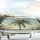 Tropical Palm Tree Foliage Sky - Road Trip Car Accessory Car Sunshade - 5