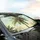 Tropical Palm Tree Foliage Sky - Road Trip Car Accessory Car Sunshade - 6