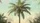 Tropical Palm Tree Foliage Sky - Road Trip Car Accessory Car Sunshade - 7