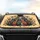 Cats Floral Botanical Leaves Swirling Outlines - Car Interior Upgrade Road Trip Travel Essentials Car Sunshade - 4