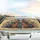 Cats Floral Botanical Leaves Swirling Outlines - Car Interior Upgrade Road Trip Travel Essentials Car Sunshade - 5