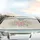 Elegant Pink Rose Garden Sage Green Leaves - Road Trip Travel Essential Car Sunshade - 5