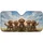 duiyfppz/products/6a02080282ae01750535f50c/gallery/wym1gqnyZR