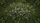 duiyfppz/products/6a020a5982ae015a8c361328/gallery/awe_Kca-o-