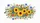 duiyfppz/products/6a0217a7442981a63a0dd4ff/gallery/U_rGGmoblX