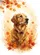 duiyfppz/products/6a02919ae733875f8b766f2e/gallery/Pezgxm_fc3