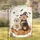 duiyfppz/products/6a029a21bc2f3f67720c0e3b/gallery/0CtgqqRf3a