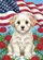 duiyfppz/products/6a029d51eb593e55c3d8c6ca/gallery/fhj2JDP5Bj
