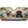 duiyfppz/products/6a02a2571e9e21c6f3c4341c/gallery/2wioqnLnxN