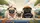 duiyfppz/products/6a02a2571e9e21c6f3c4341c/gallery/yQGQnry2I_