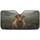 duiyfppz/products/6a02a82ce5eb8248baf9b986/gallery/5yCF3B_az1