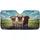duiyfppz/products/6a02b2ac2bd7769eb0a1e9eb/gallery/R_urDZsiU1