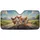 duiyfppz/products/6a02b37da29d99a3a3bbdddf/gallery/JOJJMKAzQQ